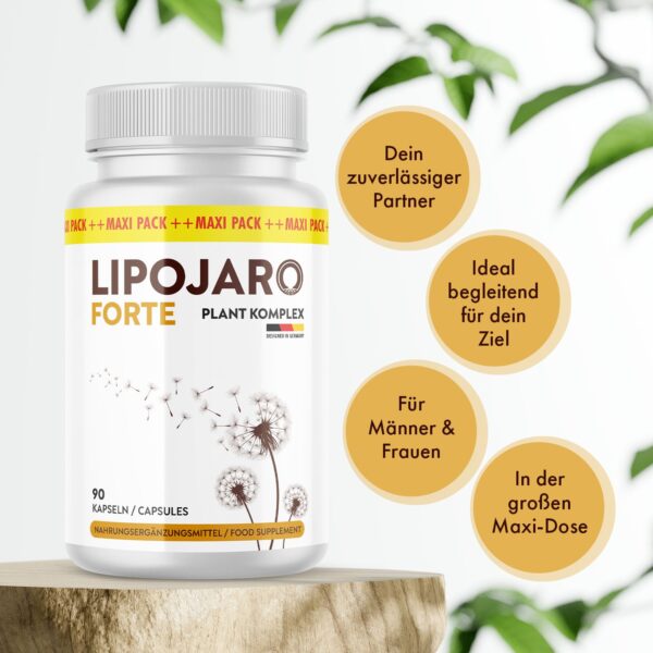 LipoJaro.jpg LipoJaro